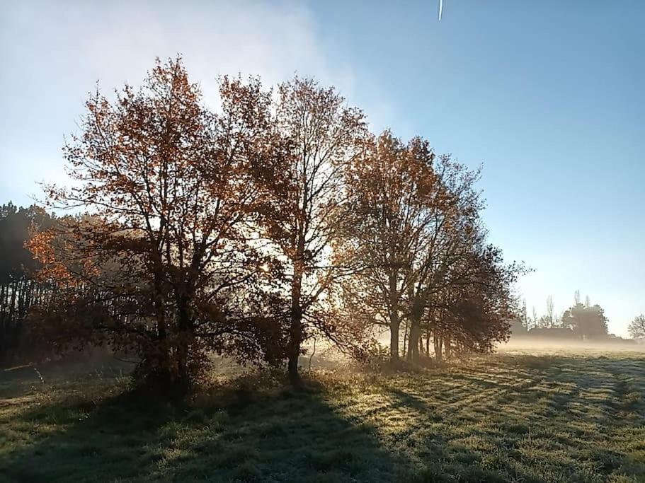 Gite Aux Bois D'En Temps Lunas  المظهر الخارجي الصورة