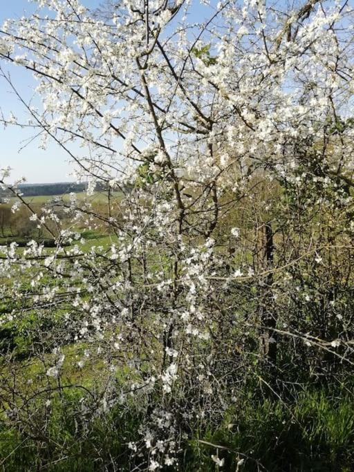 Gite Aux Bois D'En Temps Lunas  المظهر الخارجي الصورة