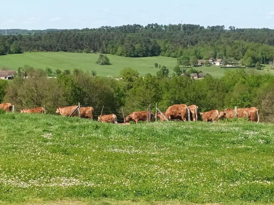 Gite Aux Bois D'En Temps Lunas  المظهر الخارجي الصورة
