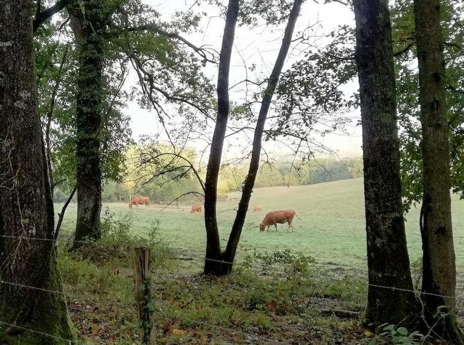 Gite Aux Bois D'En Temps Lunas  المظهر الخارجي الصورة