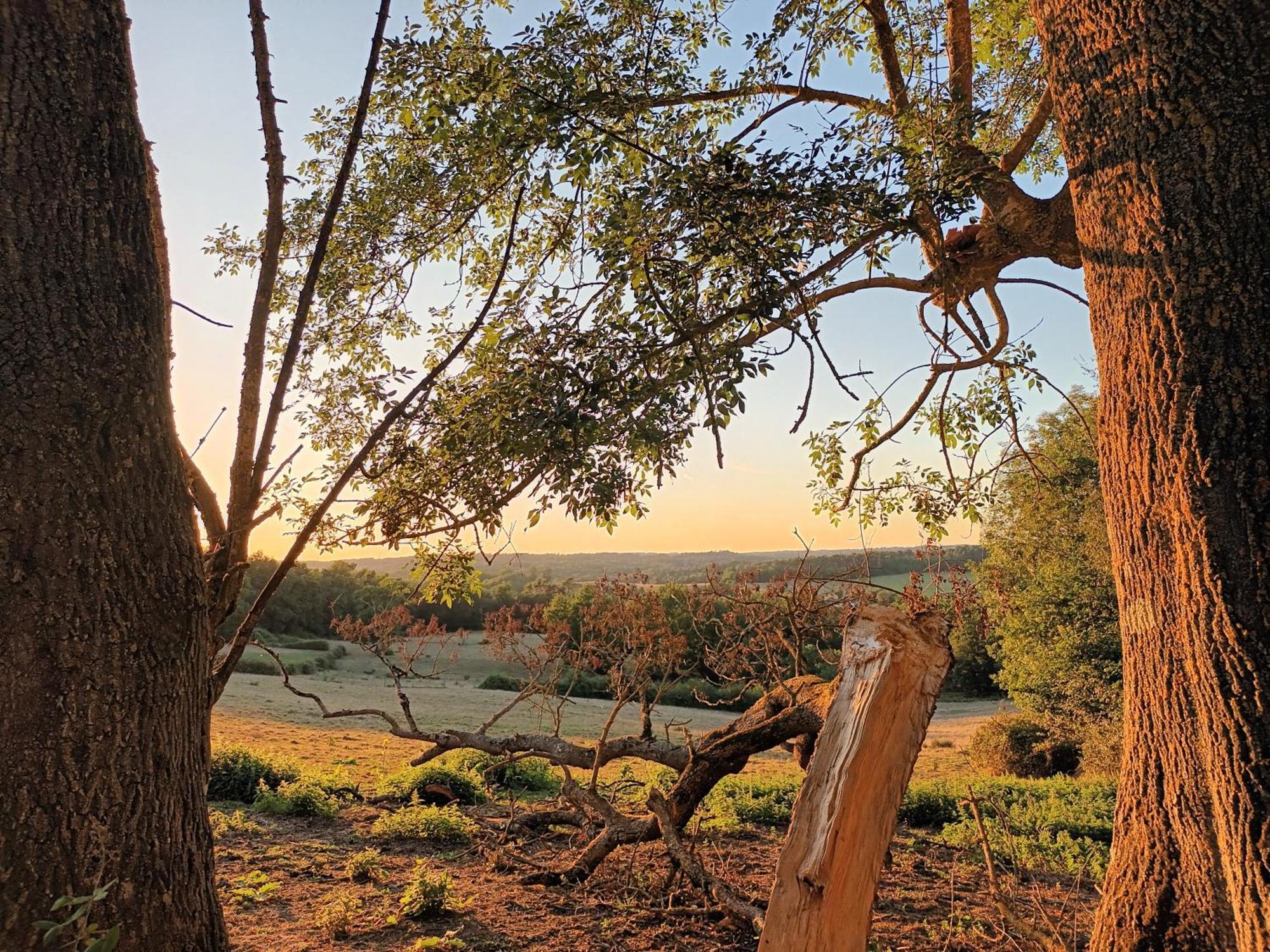Gite Aux Bois D'En Temps Lunas  الغرفة الصورة